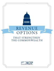 revenue options