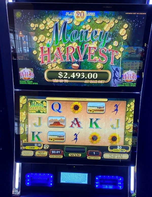 money coin tree slot machine