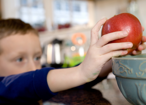 Nearly 400,000 Kentucky Kids Received Summer Food Benefits but Program Could Help Many More