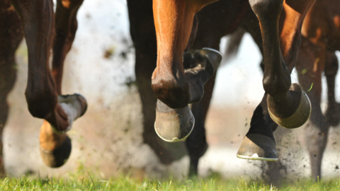 hb 757 horse racing subsidy