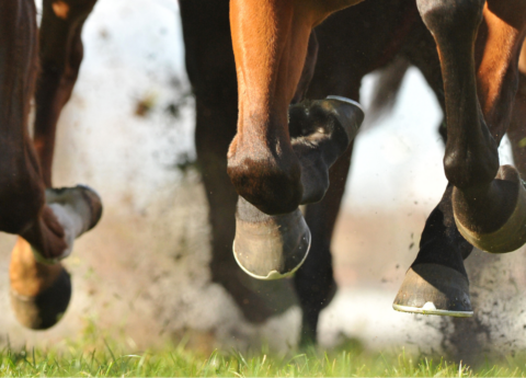 hb 757 horse racing subsidy