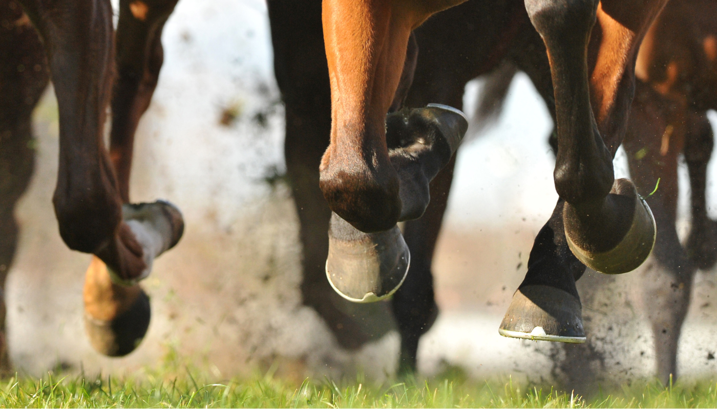 hb 757 horse racing subsidy